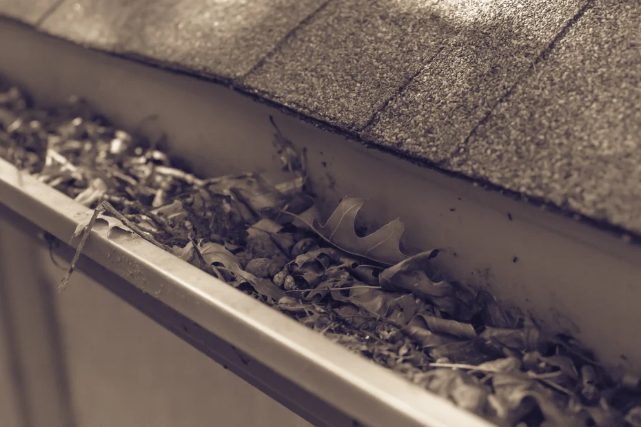 Gutter Cleaning Cedar Park, TX