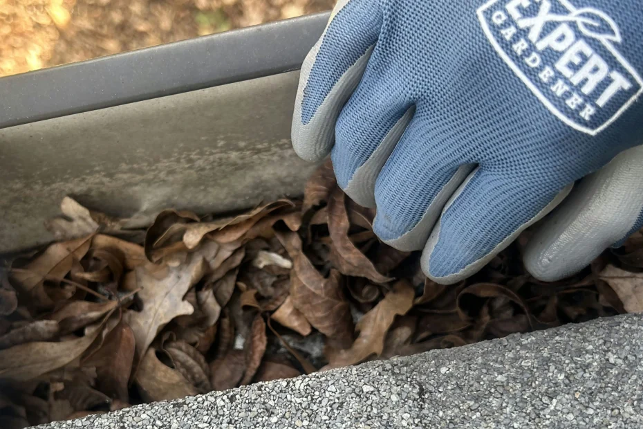 Gutter Cleaning Cedar Park, TX