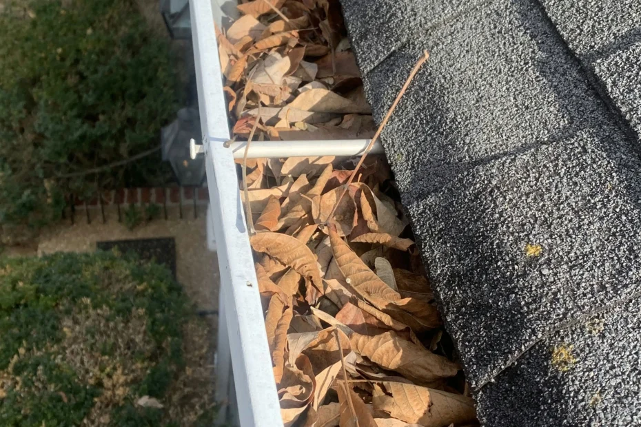 Gutter Cleaning Cedar Park, TX