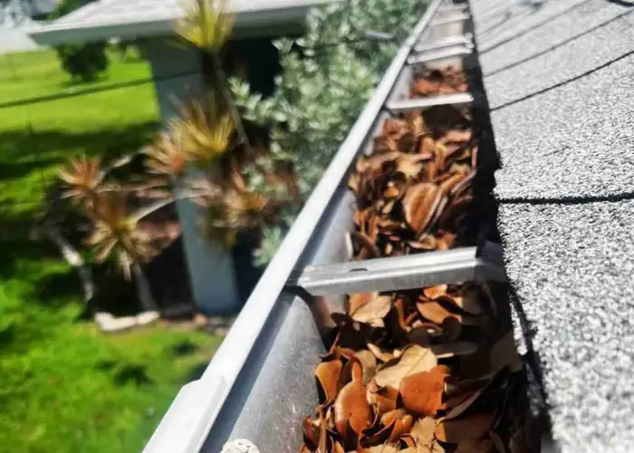 Gutter Cleaning Cedar Park, TX home page